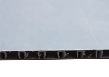 Van het de Structuurpolypropyleen van de AkyBoardbel de Honingraatbladen 4mm 5mm