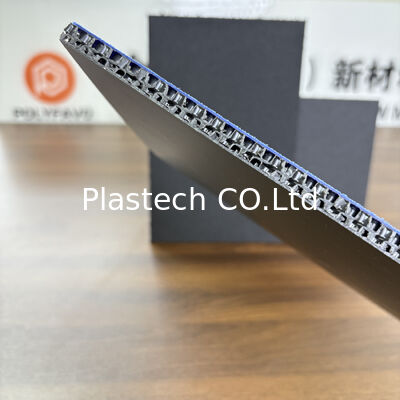 7mm Plastic Board Zwart Vliegpaneel Lichtw 2800gsm Vliegkas Accessoires PP Honingraatpaneel