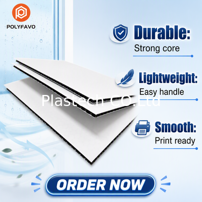 Zhongcheng 5mm 1600gsm plastic plaat voor transport honingraat polypropyleen paneel